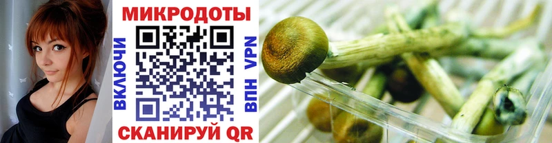 Галлюциногенные грибы GOLDEN TEACHER  Калтан 